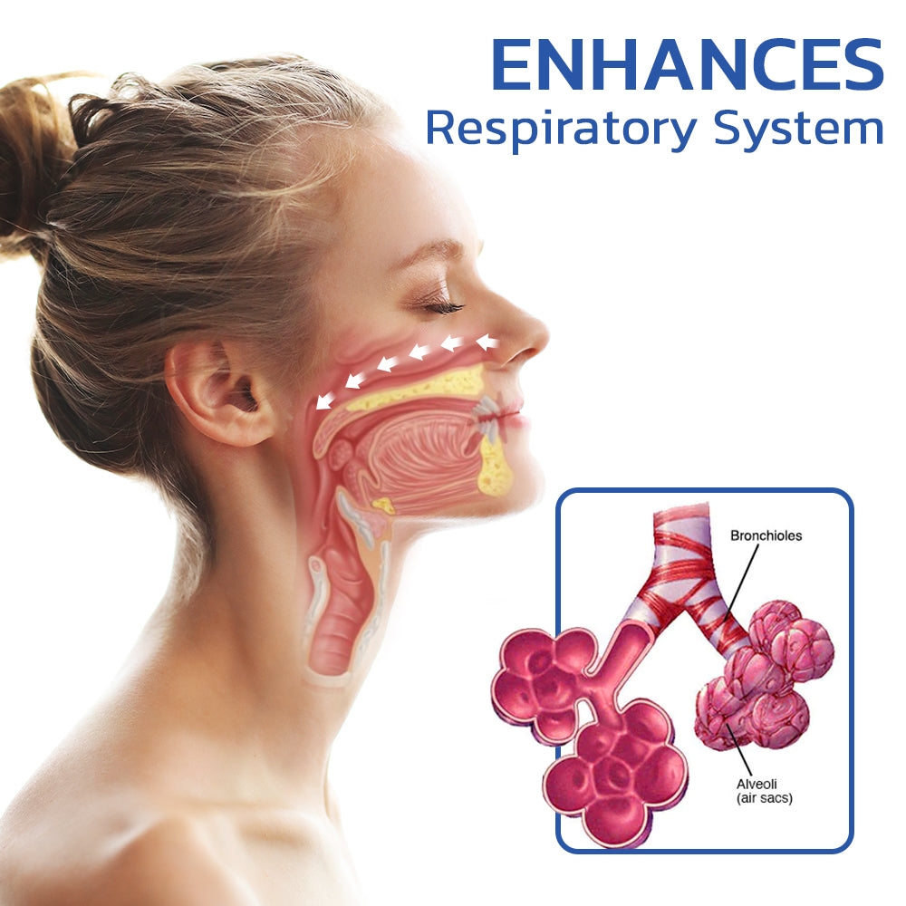 GFOUK™ SeasonsNose Lung Cleaning Nasal Allergic Spray