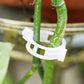 GFOUK™ Plant Support Clips