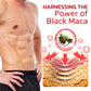 GFOUK™️ MACAFORCE Black Maca Gynecomastia Firming Cream