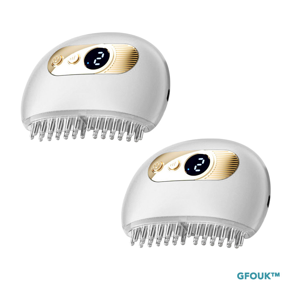 GFOUK™ EMS Lifting Facial And Nourishing Scalp Acupoint Massage Device