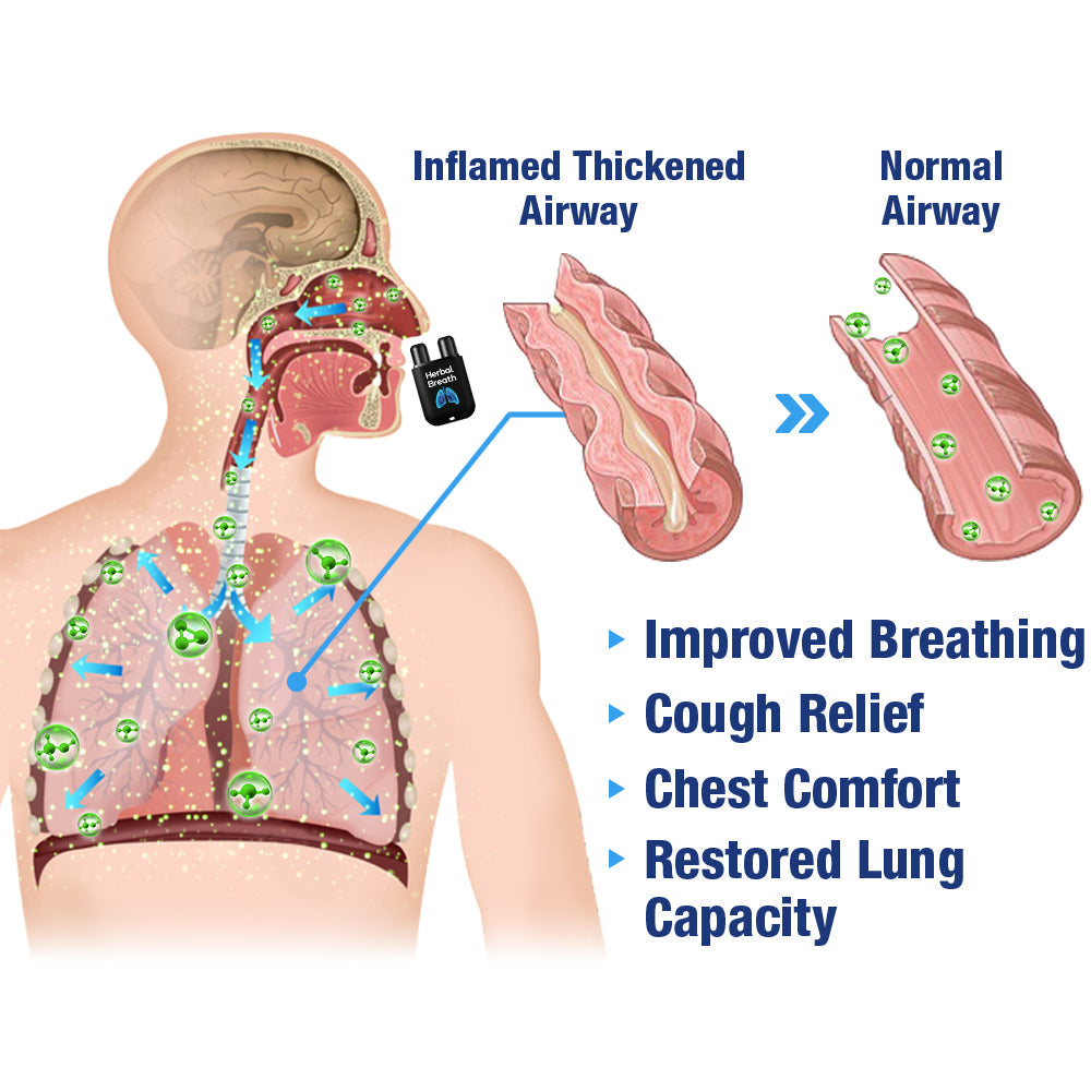 GFOUK™️ HerbalBreathe Respiratory Cleansing Aerosolizer