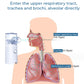 GFOUK™ LungDetox Nebulizer Cleansing Spray